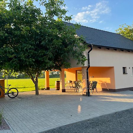 Rekreacni Dum U Jezer, Milovice 6 Villa Buitenkant foto