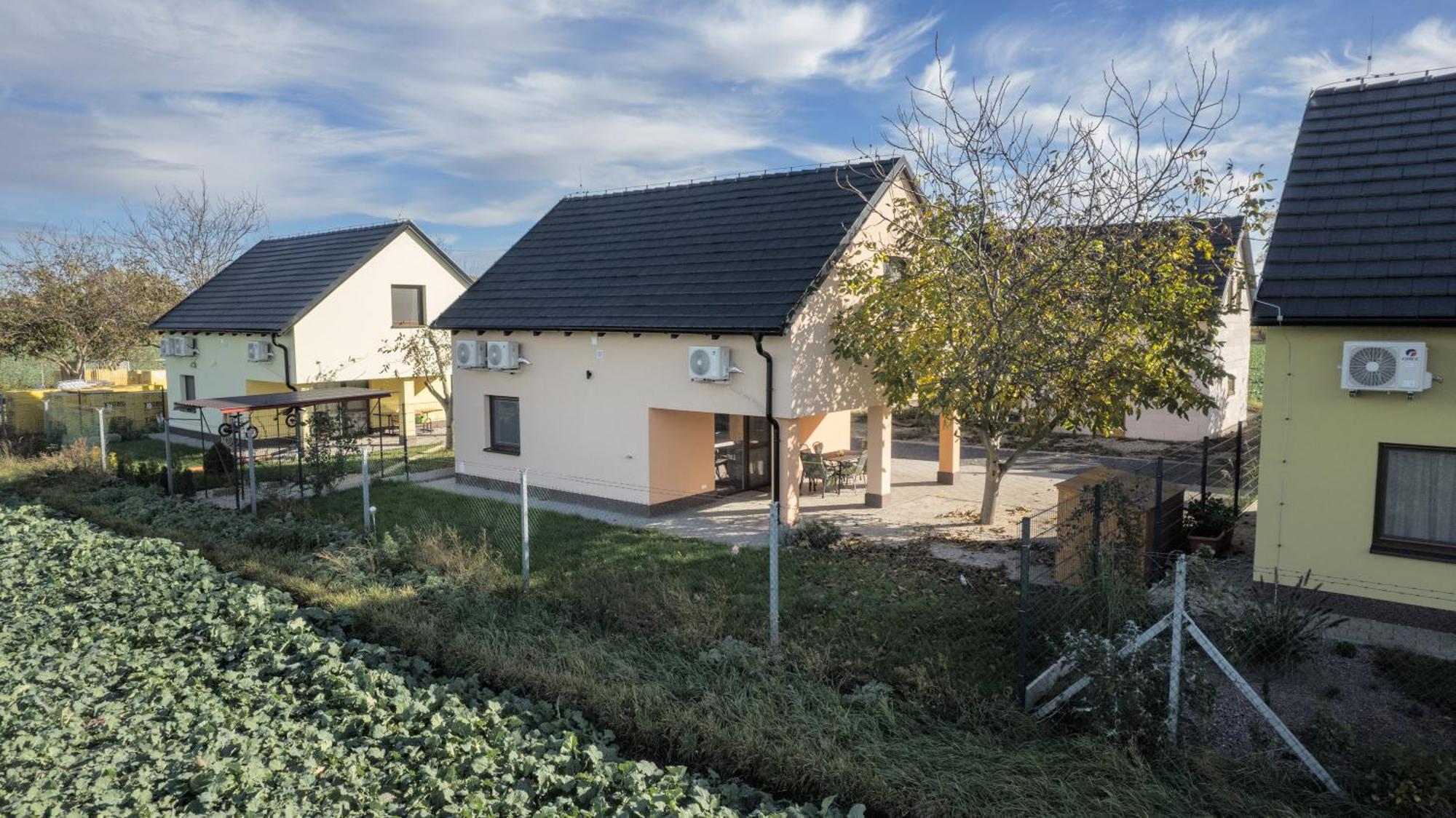 Rekreacni Dum U Jezer, Milovice 6 Villa Buitenkant foto